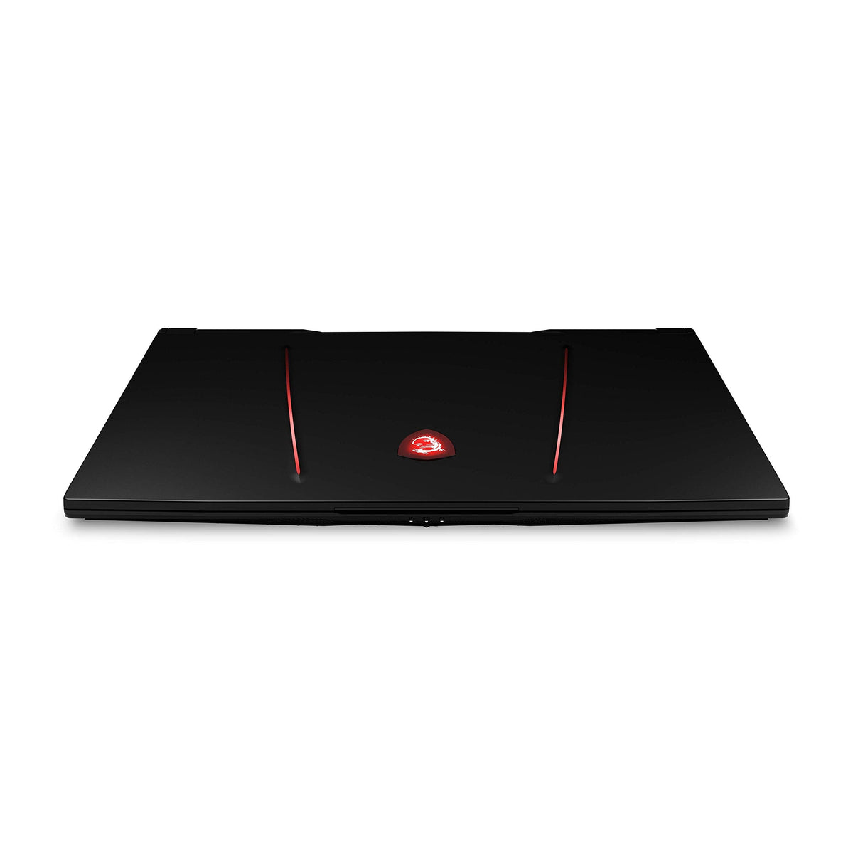 MSI GE75 Raider 10SE-482 17.3