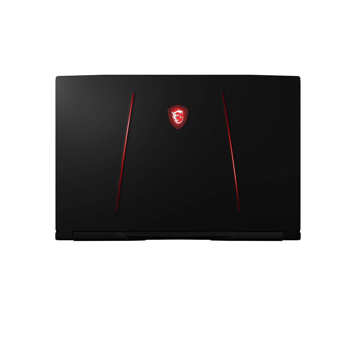 MSI GE75 Raider 10SE-482 17.3