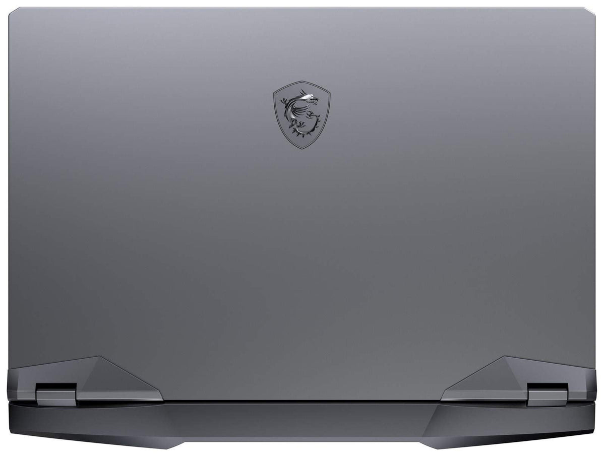 MSI GE66 Raider 10UG-211 ? 15.6