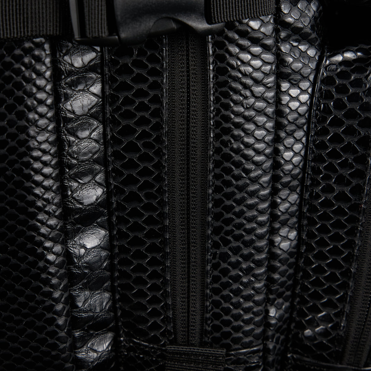 25L Backpack King Cobra