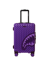 ALL SYSTEMS GO CARRY-ON LUGGAGE