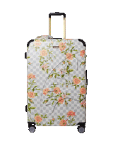 A.I. AFRICAN INTELLIGENCE ELEGANT ENERGY SHARKITECTURE FULL SIZE LUGGAGE - SANDFLOWER COLLAB