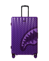 ALL SYSTEMS GO FULL-SIZE LUGGAGE